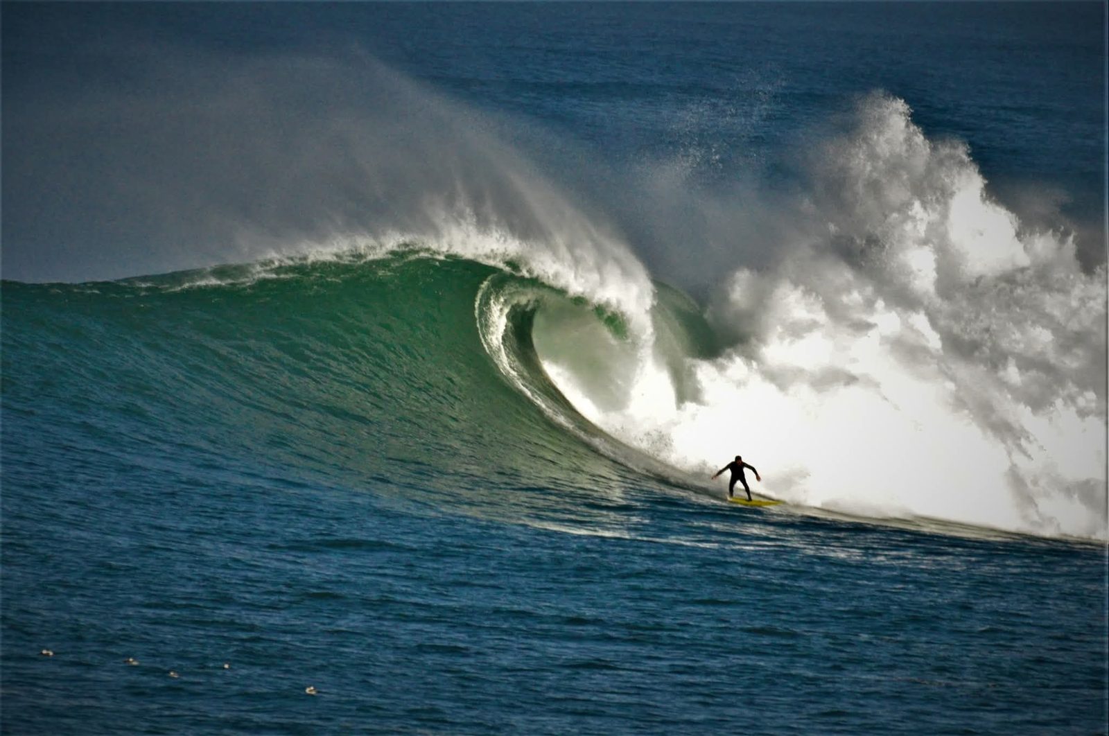 A lone surfer dropping into the face of a big green barrelling wave, spray tearing off the lip.